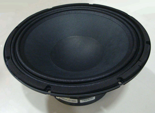 Picture of XD-000012-00 - WOOFER,10.0IN,PAPER,2.5VC,43.5V,8OHM,"S10T"